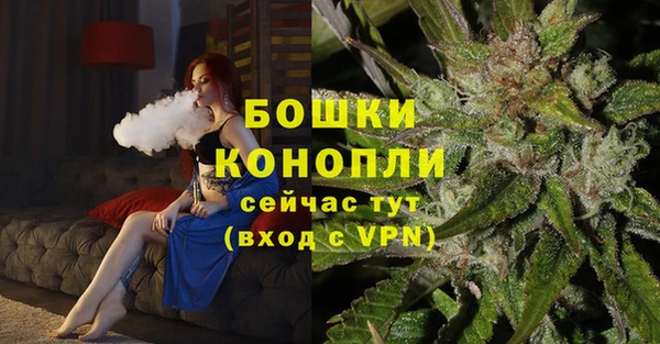 ГАЛЛЮЦИНОГЕННЫЕ ГРИБЫ Вязники
