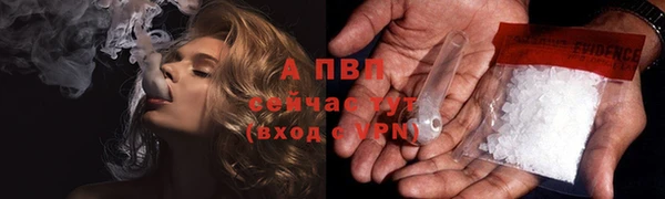 ГАЛЛЮЦИНОГЕННЫЕ ГРИБЫ Вязники