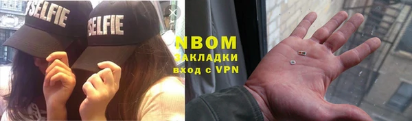 ГАЛЛЮЦИНОГЕННЫЕ ГРИБЫ Вязники