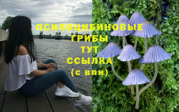 apvp Вязьма