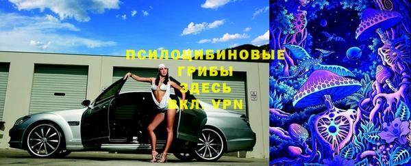 ГАЛЛЮЦИНОГЕННЫЕ ГРИБЫ Вязники