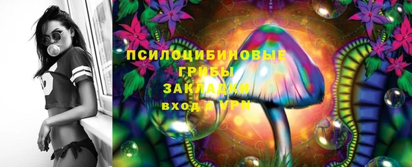 ГАЛЛЮЦИНОГЕННЫЕ ГРИБЫ Вязники