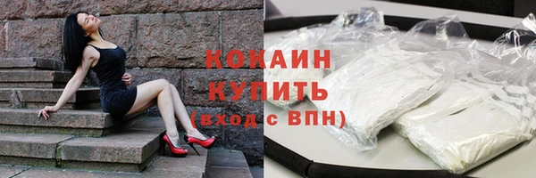 ГАЛЛЮЦИНОГЕННЫЕ ГРИБЫ Вязники